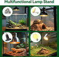 Reptile Heat Lamp Stand, Adjustable 18"-32"H Light Holder, Heavy Base