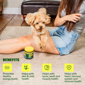 Wuffes Dog Vitamins, 23-in-1 Daily Multivitamin Soft Chews. All 8 B Vitamins, Omega-3, Zinc, Iron & Biotin. Supports Energy, Skin & Coat, Heart & Immune Health.