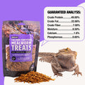 Fluker’s Grub Bag All Natural Calcium Fortified Mealworm Treats, Packed with Protein, Rich in Nutrients, A Reptile Favor