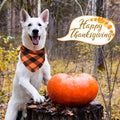 Kytely Fall Dog Bandana, 2Pack Halloween Bandanas for Dogs, Plaid Dog Scarf
