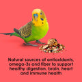 Kaytee Fiesta Parakeet Food, Nutritious and Fun Blend, Supports Skin, Feather, Digestion, Brain and Heart Health, 4.5 pounds