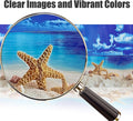 XCNO Aquarium Background Poster Fish Tank Wallpaper, Double-Sided, 12"x 25"