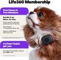 Life360 Pet GPS Tracker for Dogs | Live Tracking, Escape Alerts & Lost Pet Network | Up to 14 Days Battery | 12-Month Si