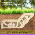 Hamster Tunnel Hideout Climbing Ladder for Burying in Hamster Bedding or Connecting with Hamsters Nut Stuff Hamsters Cag