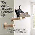 7 Ruby Road Alto Cat Wall Hammock Set — Wall Mounted Cat Shelves & Furniture with Climbing Steps for Large Cats, Holds 35 lbs, Indoor Climbing & Lounging, Replaceable Cushion