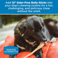 Best Bully Sticks 12 Inch Odor-Free Bully Sticks for Dogs - 12 Count (Pack of 1) - Natural Grass-Fed Beef, Easily Digest