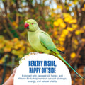 Penn-Plax Bird-Life E-Cuttlebone Original, 1 Pk (2 Counts) - Durable, Less Brittle Cuttlebones Enriched with Omega 3, Honey & Vitamin B1 - Easy Mounting, Cage Clip - Great for All Bird Sizes - White
