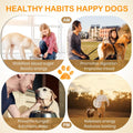 EliteSign Dog Feeding Reminder Sign, Pet Feeding Tracker with Magnet, AM PM Daily Acrylic Slider Board for Fridge Wall Mounting, Plus Walking Reminder, Brushed Silver, 6.8" x 4.7" Pet Supplies