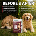 Dewormer for Dogs, Fenbendazole for All Wormers, Hookworms, Tapeworms, Whipworms and Roundworms, 12 Count