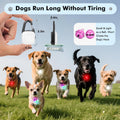Dog Lights for Night Walking,2 Pack LED Rechargeable Safety Dog Collar Light Clip On with 4 Modes,IP68 Waterproof for Night Walking,Camping,Running, Hiking, Cycling