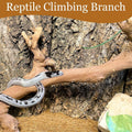 2PCS Reptile Wood Branches Decor,Snake Climbing Branch Tree Trunk Cork Log