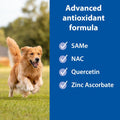 SAMeLQ Chewable Tablets