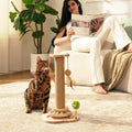 4-in-1 Cat Scratching Post for Indoor Kittens