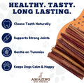 Amazing Dog Treats - 6 Inch Medium Size Bully Sticks (10 Count) - Bulk Bully Sticks for Dogs - No Hide Bully Stick Dog B