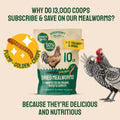 Hatortempt Bulk Dried Mealworms - 5 Lb Bag - Dried Mealworms for Chickens, Ducks & Wild Birds - High-Protein Chicken Feed & Bird Food