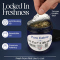 The Cat's MeWow 100% Pure Catnip – North American Grown – Strong Aroma for Play & Enrichment – Resealable Freshness Jar – Veteran-Owned Brand