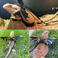 Bearded Dragon Carrier with Harness and Leash Small Pet Carrier