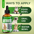 Cat Antibiotic for Infections, UTIs, Respiratory Moments, Cold, & Allergies | Antibiotics for Cats of All Ages & Breeds 