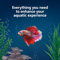 Aqueon LED MiniBow Small Aquarium Fish Tank Kit with SmartClean Technology, Small Fish Tank, Black, 5 Gallon