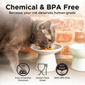 Necoichi 2pcs Extra-Wide Elevated Cat Food Bowls – BPA-Free Plastic Raised Bowls to Reduce Whisker & Neck Fatigue – Dishwasher Safe – Non-Slip, Anti-Vomiting Ergonomic Design(Classic)