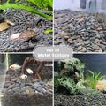 2.4lb River Rocks Pebbles for Plants & Succulents, Decorative Outdoor Landscaping & Aquarium Garden Rocks