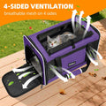PAPZER Cat Carrier Soft-Sided Travel Bag for Medium to Large Cats Over 15lbs, Small Dog Carrier Crate Top Entry Breathable Mesh Puppy 12 Pounds, Pet Rabbit Carrying Cage Kennel Collapsible Purple