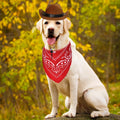 GOYOSWA Dog Halloween Costumes, Dog Cowboy Costume Halloween Dog Cowboy Hat Halloween Dog Bandana Scarf Funny Dog Hallow