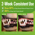 Enzymatic Dog Dental Powder, Mint Dog Teeth Cleaning Plaque Off Powder-150g