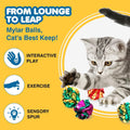 SunGrow Cat Crinkle Balls, Mylar Interactive Toys for Indoor Cats, 6 Pcs