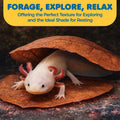 SunGrow 10 Pack Axolotl Indian Almond Leaves for Aquarium, 5-Inches, Catappa Leaf Soothes Pet’s Slime Skin, Aquarium Wat