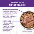 Wellness Complete Health Healthy Weight Adult Dry Cat Food for Indoor Cats, Natural, Grain Free Kibble, Chicken & Turkey Recipe, 5.5 lb Bag