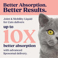 Summit Feline Pain Relief Supplement Inflammation Hip & Joint Support Vitamin for Cats - Natural Chrondroitin with Liposomal Delivery for Arthritis - Drug Free - All Ages