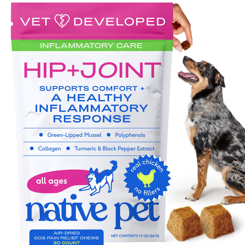 Native Pet Inflammatory Care - Pain Relief for Dogs - Green-Lipped Mussel, Turmeric & Collagen for Dogs - Hip and Joint Supplement Supports Healthy Inflammatory Response & Joint Comfort - 30 Chews