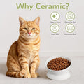 Elevated Cat Bowl, 5 Oz Raised Cat Food and Water Bowl Set for Cats, Ceramic Raised and Tilted Water Bowl, 15°Tilted Sta