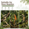 Layhit 5 Pcs Snake Climbing Branch Ring Reptile Wood Trunk Tank Decor Reptile Climbing Habitat Accessory for Terrarium T