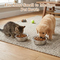 Supkiir Disposable Cat Bowls Set, 1000 Pcs Paper Cat Feeding Bowl Liners and 5 Pcs Stainless Steel Pet Bowls, Small Paper Disposable Pet Food Bowl for Small Dogs Cats, Puppy Kitten and Dry or Wet Food
