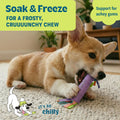 Cool Teething Stick Dental Dog Chew Toy, Soak & Freeze, 8.5"