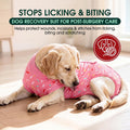 Kuoser Dog Recovery Suit Female, Dog Recovery Suit Female Doggie Onesie for Surgery, Post-Op Onesie for Female & Male Dogs, Soft Protective Wear, PinkRibbon L