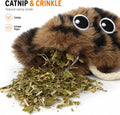 Cat Toys for Indoor Cats,Interactive Door Hanging Cat Toys Attached with Catnip/Feathers/Birds/Worm Toys for Cats/Kitten