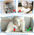 Coppthinktu Cat Recovery Suit Female Cat Onesie After Surgery Anti Licking