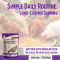 PeckPurity Natural Chicken Herbal Supplement Dewormer – Daily Gut Support with Diatomaceous Earth & Yucca Extract – for Hens, Chicks & Wild Birds – Plant-Based Digestive Health Blend – USA (1 LB)