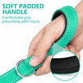 Reflective Dog Leash with Padded Handle for Medium Large Dogs