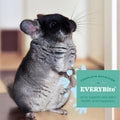Oxbow Essentials Chinchilla Food, Made with Oxbow Alfalfa, Vitamin & Mineral Rich Food for Chinchillas, Small Animal Pet