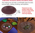 11PCS Tortoise Starter Kit with Feeding Toys, Tortoise Bathing Pool, Water & Food Dish Set, Turtle Shell Cleaning Brushe