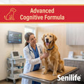 Senilife Cognitive Support Capsules for Senior Dogs, Brain Health & Cognitive Function Supplement, Supports Memory & Mental Alertness, 30 Capsules