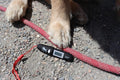 TEMPUP Dog Paw Saver - Keep Your Dog Safe and Healthy All Summer, Avoid Pavement Burns - for All Breeds/Surfaces, Pocketsize, Easy to Use with Just ONE Click