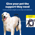PetSafe Solvit Pet Lifting Aid for Rear Portion, Large, Black (62365)