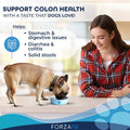 Forza10 Active Colon Dry Dog Food for Adult Dogs - 8 LB - with Anchovy