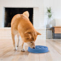 Outward Hound Fun Feeder Slo Bowl – Medium 2‑Cup Capacity, Slow Feeding, Small to Medium Dogs & Cats, Non-Slip, Blue, No