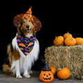 Halloween Dog Bandanas - 2 Pack Reversible Pumpkin and Bat Pet Scarf for Boys and Girls | Fall Dog Bibs | Premium Durabl